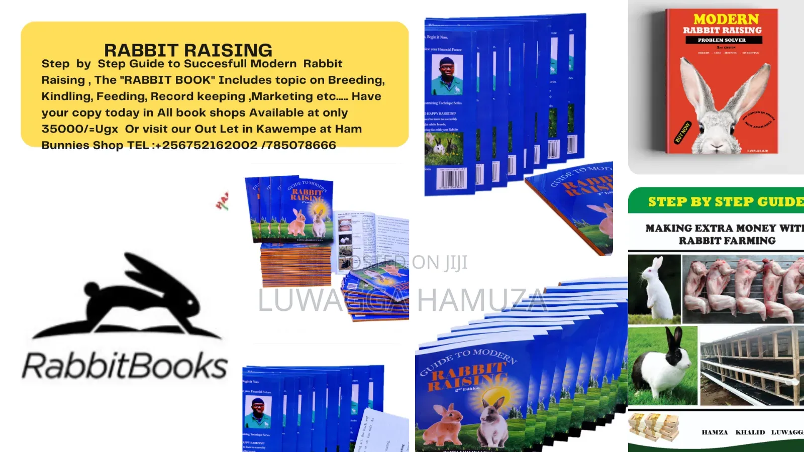 Rabbit Books