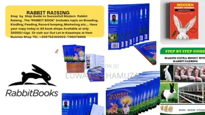 Rabbit Books