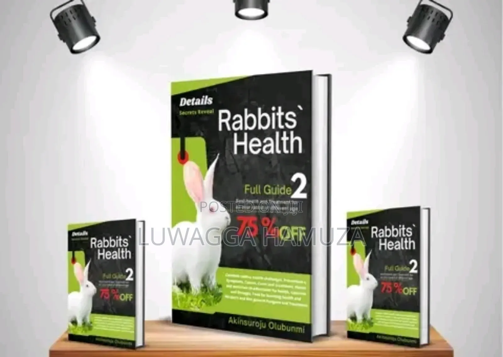 Rabbit Books