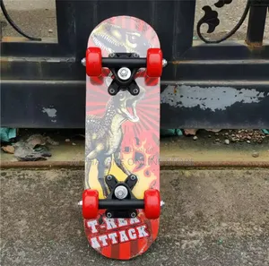 Kids Skate Board