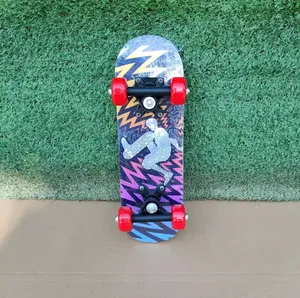 Kids Skate Board