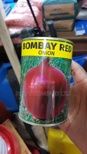 Onion Bombey Red Seed 50g