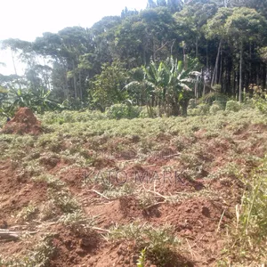 1 Square Miles for Sale at Kayunga Bale