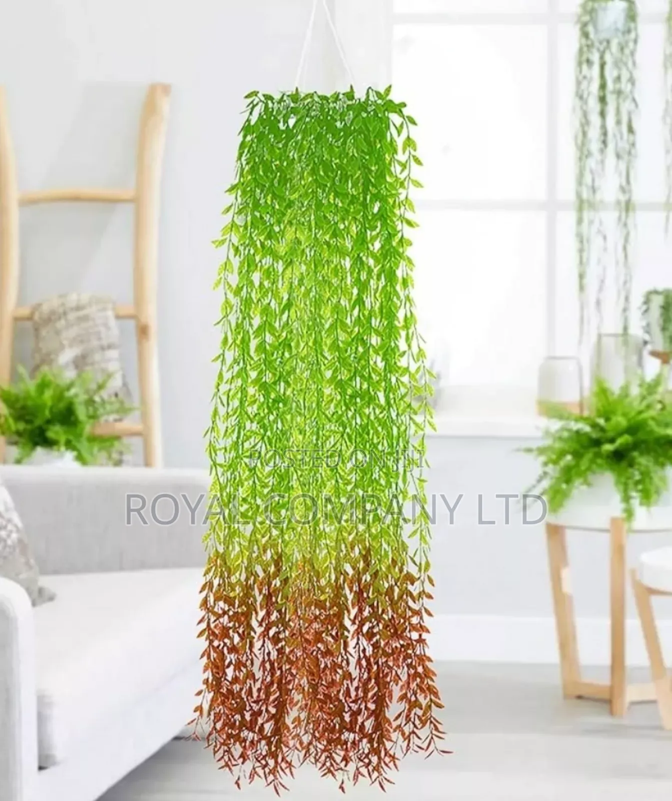 Artificial Plant Glass