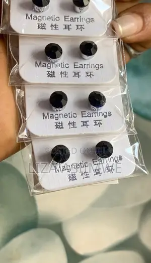 Men’S Silver and Black Iced Out Magnetic Pins