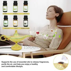 4 in 1 Decorative Aromatherapy Oil Diffuser, Aladdin