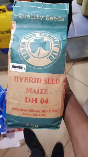 Dh 04 Hybrid Maize Seeds 2kg