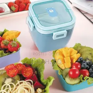 Portable Plastic Microwaveable Bento Double Layer Lunch Box