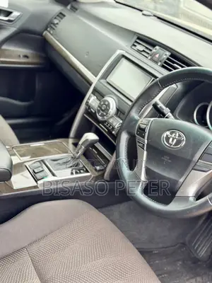Toyota Mark X 2013 Red