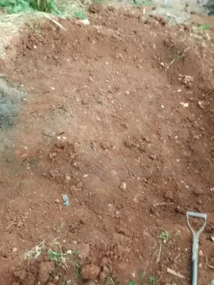 Bio Septic System Installation