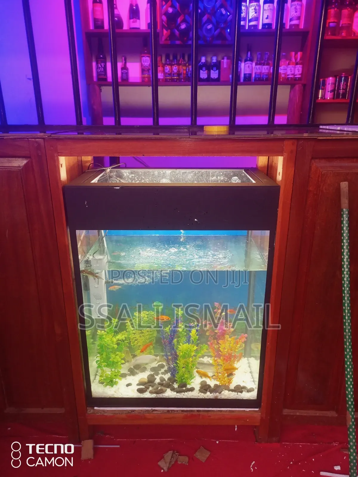 Black Colour Aquarium, Excellent Set Up