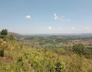 Titled Land at Mpambire Masaka Road