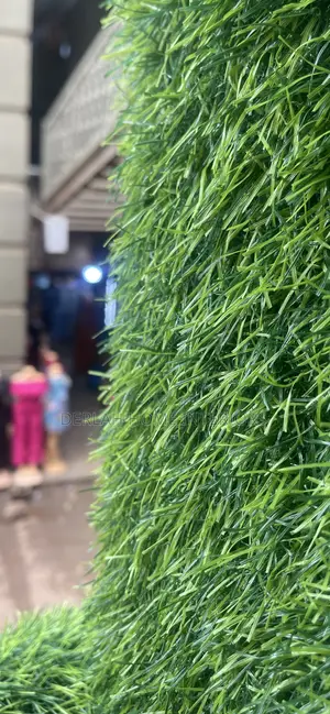 Quality Parkistan Imported Grass Carpet