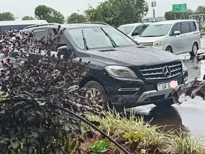 Mercedes Benz Ml 4matic/Bluetec