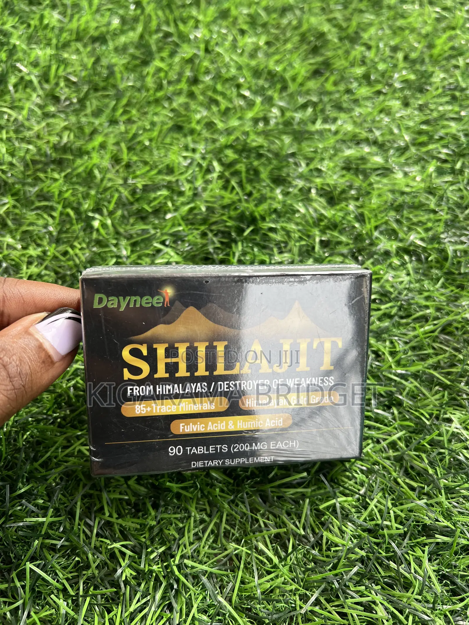 Shilajit Tablets 90 Tabs
