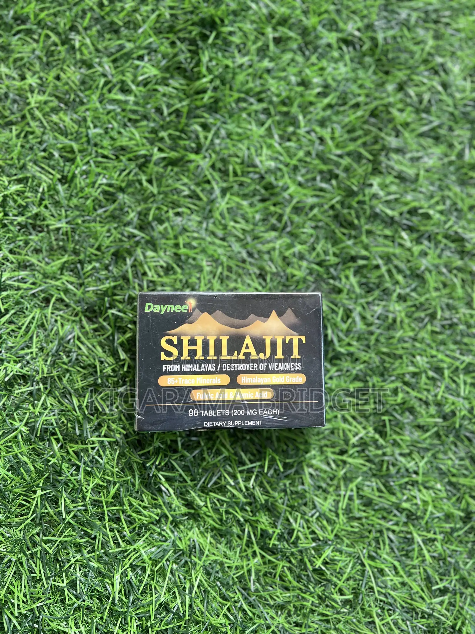 Shilajit Tablets 90 Tabs