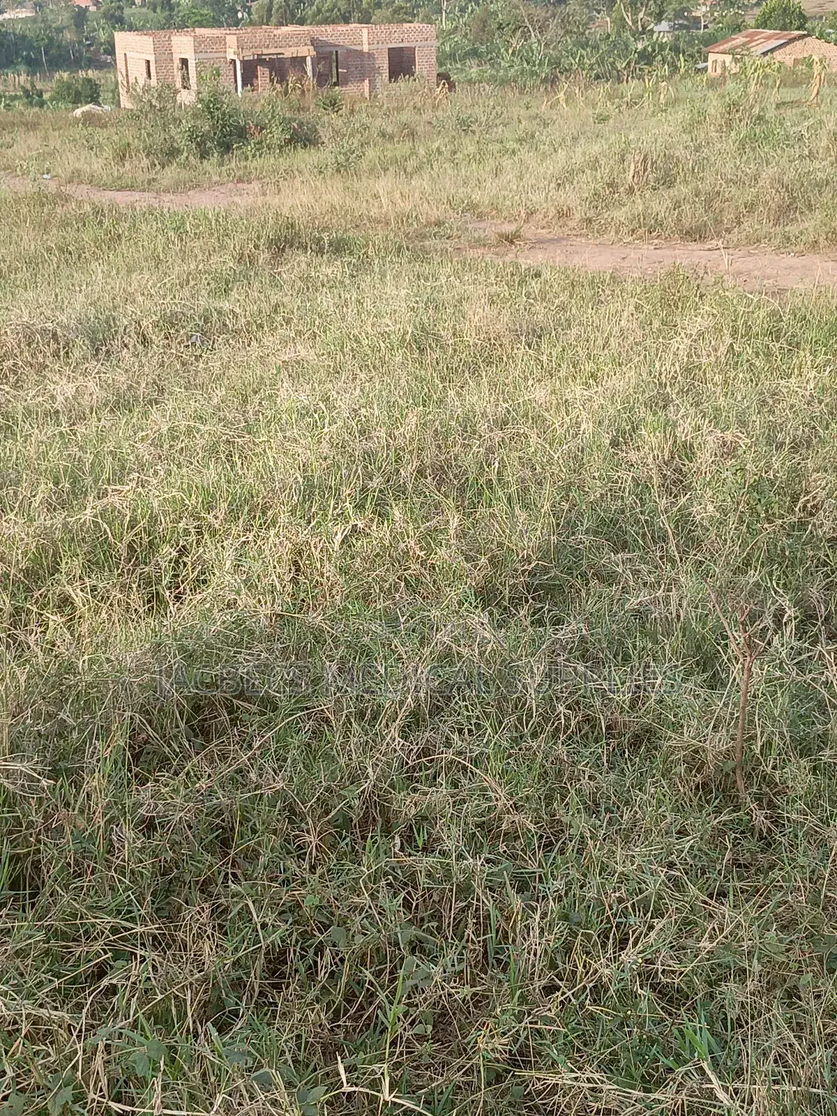 Plot at Sanga Matunga Semuto Road