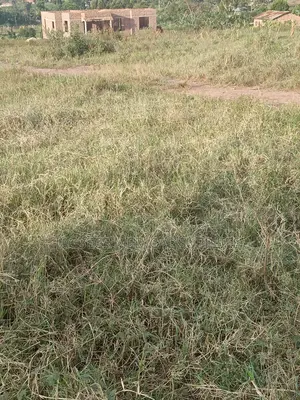 Plot at Sanga Matunga Semuto Road