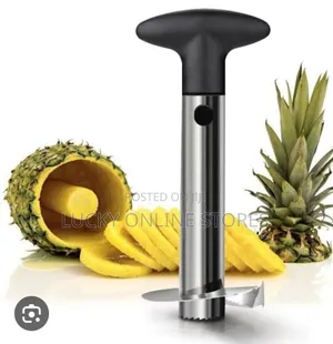 Stainless Steel Pineapple Cutter