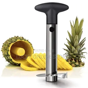 Stainless Steel Pineapple Cutter