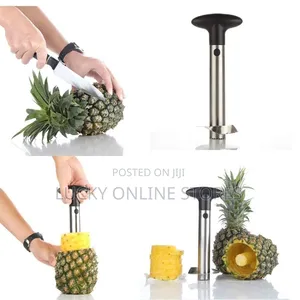 Stainless Steel Pineapple Cutter