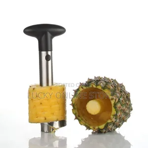 Stainless Steel Pineapple Cutter