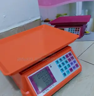 Catering Food Weigh Precision Weighing Scale Digital Weighing Scale