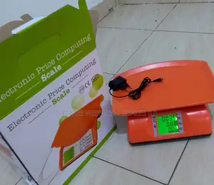 Display Digital Food Production Weighing Scales 40kg Weighing Scale