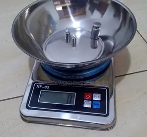 Digital Weigh Precision Catering Weigh Scale X.F-03 Food Weighing Scal