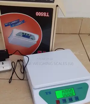 Weigh Scale For Commercial Weigh 30kg Digital Weighing Scale