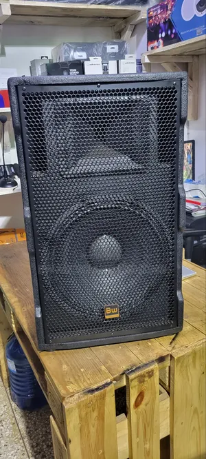 15inch Speaker 500watts Bw15195
