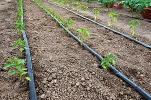 Drip Irrigation Full Set 1 Acre With Installation