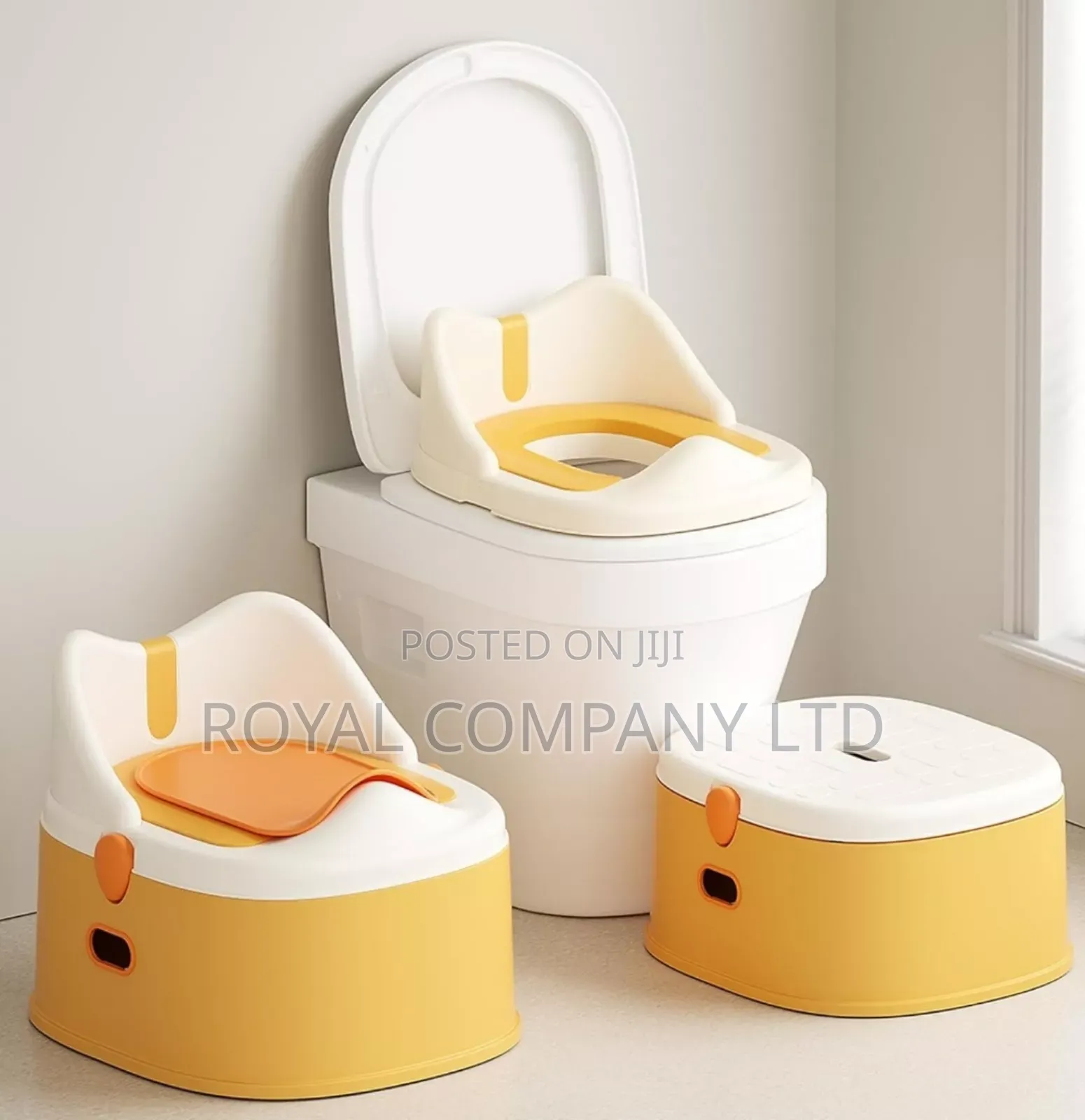 Potty Training Toilet