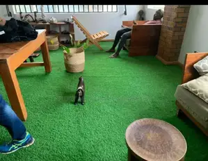 Executive Artificial Grass Carpet