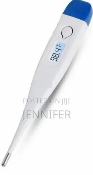 Professional Clinical Digital Thermometer