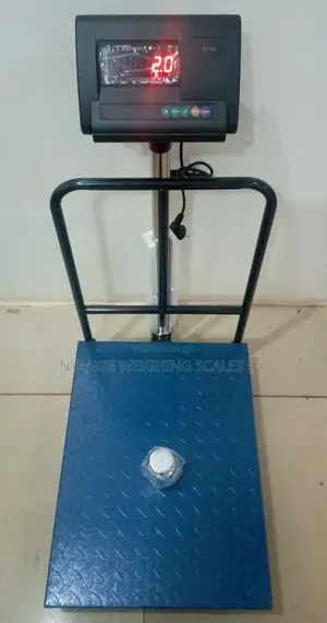Cy-0334rheavy Duty Platform Balance Weighing Scales 300kg