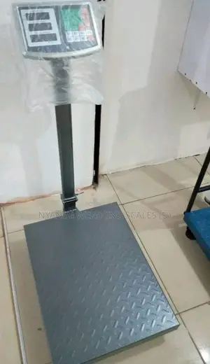 Industry Platform Weighing Scales 350kg Weigh Accurate Weighing Scale