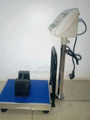 Portable Platform Weighing Scale Digital Weigh Electric Weighing Scale