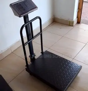 Platform Weighing Scale Accurate 350kg Weigh Digital Weighing Scale