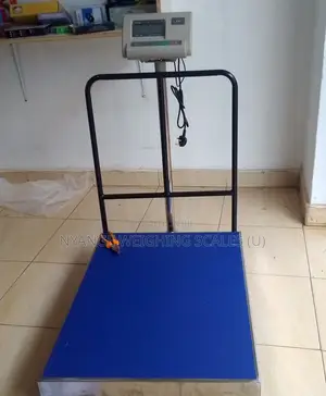 Industrial Weighing Scale 500kg Weigh Accurate Weighing Scale