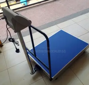 Weigh Portable Weighing Scale for Shops Weigh Digital Weighing Scale