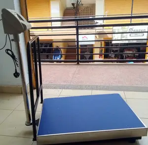 Heavy Duty Weigh Scale Platform Weigh 700kg Electronic Weighing Scale