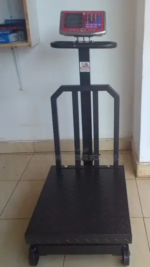 Platform Weighing Scale Industrial Weigh Digital 500kg Weighing Scales