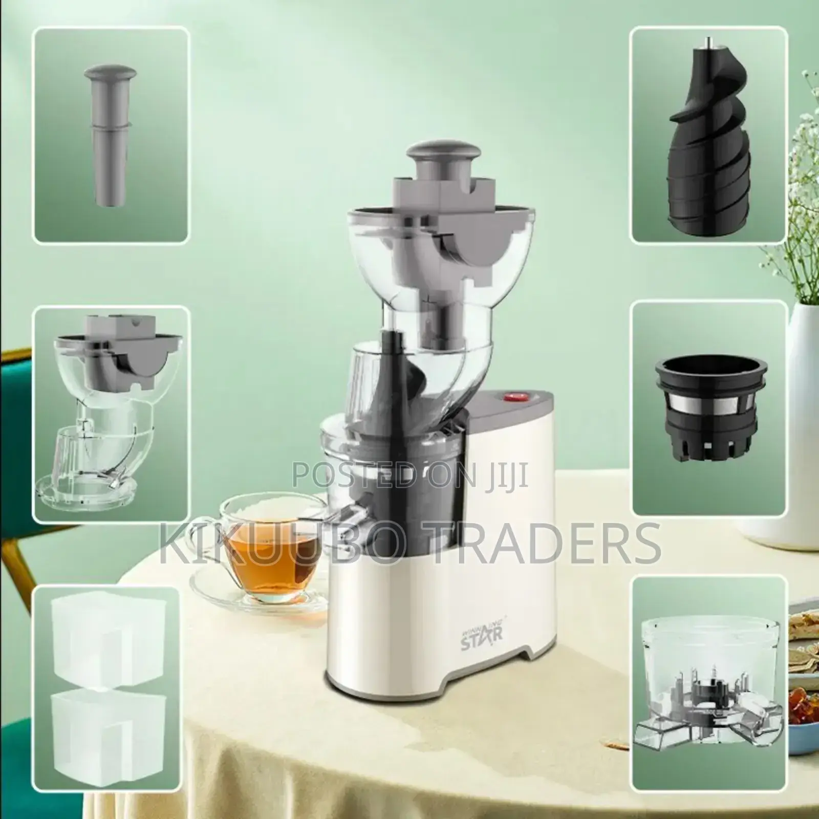 Winning Star Slow Juice Extractor - St-5598