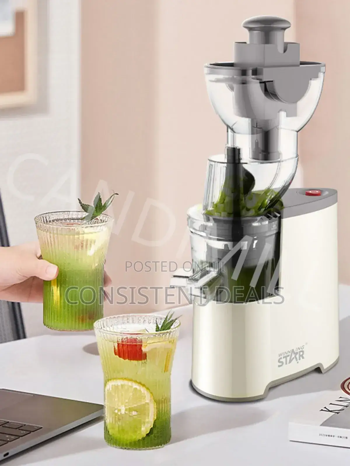 Winning Star Powerful Electric Slow Juicer