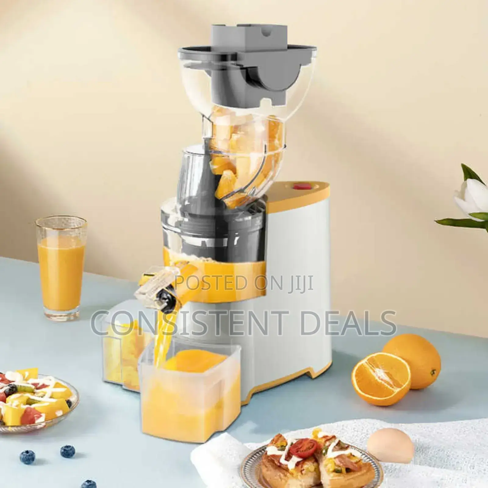 Winning Star Powerful Electric Slow Juicer