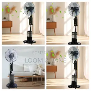 New Luxurious Black Stand Alone Fan