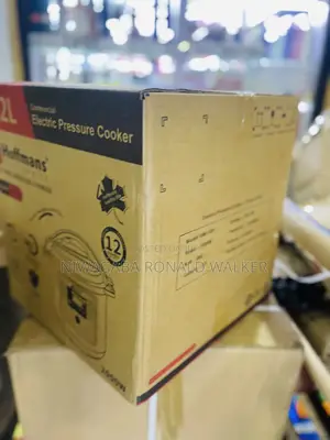Multi-Functional Electric 12l Commercial Pressure Cooker