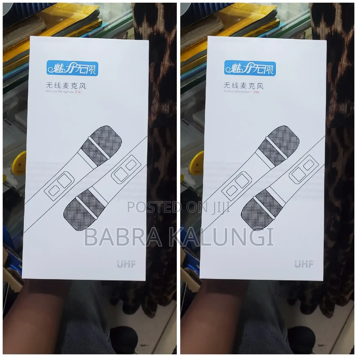 2 in 1 Professional Microphone