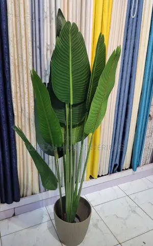 Quality Artificial Plant